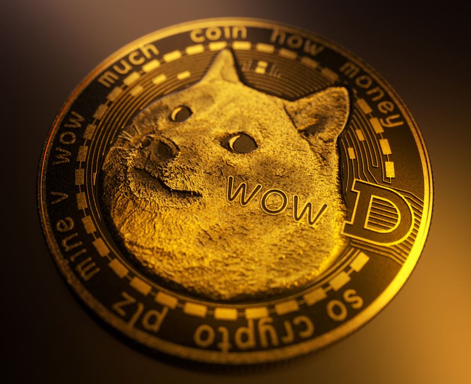 Doge Coin